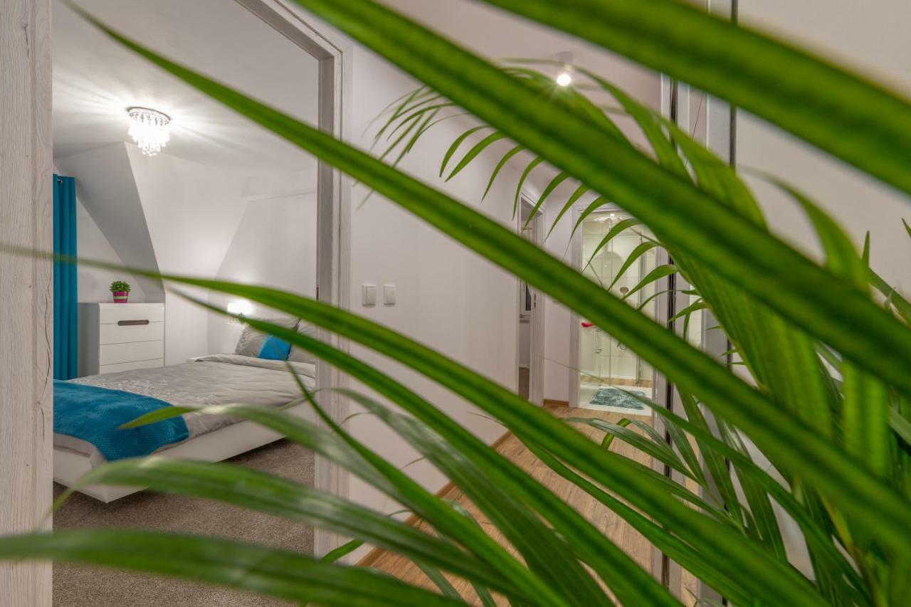 Apartament Podwika Закопане Екстериор снимка